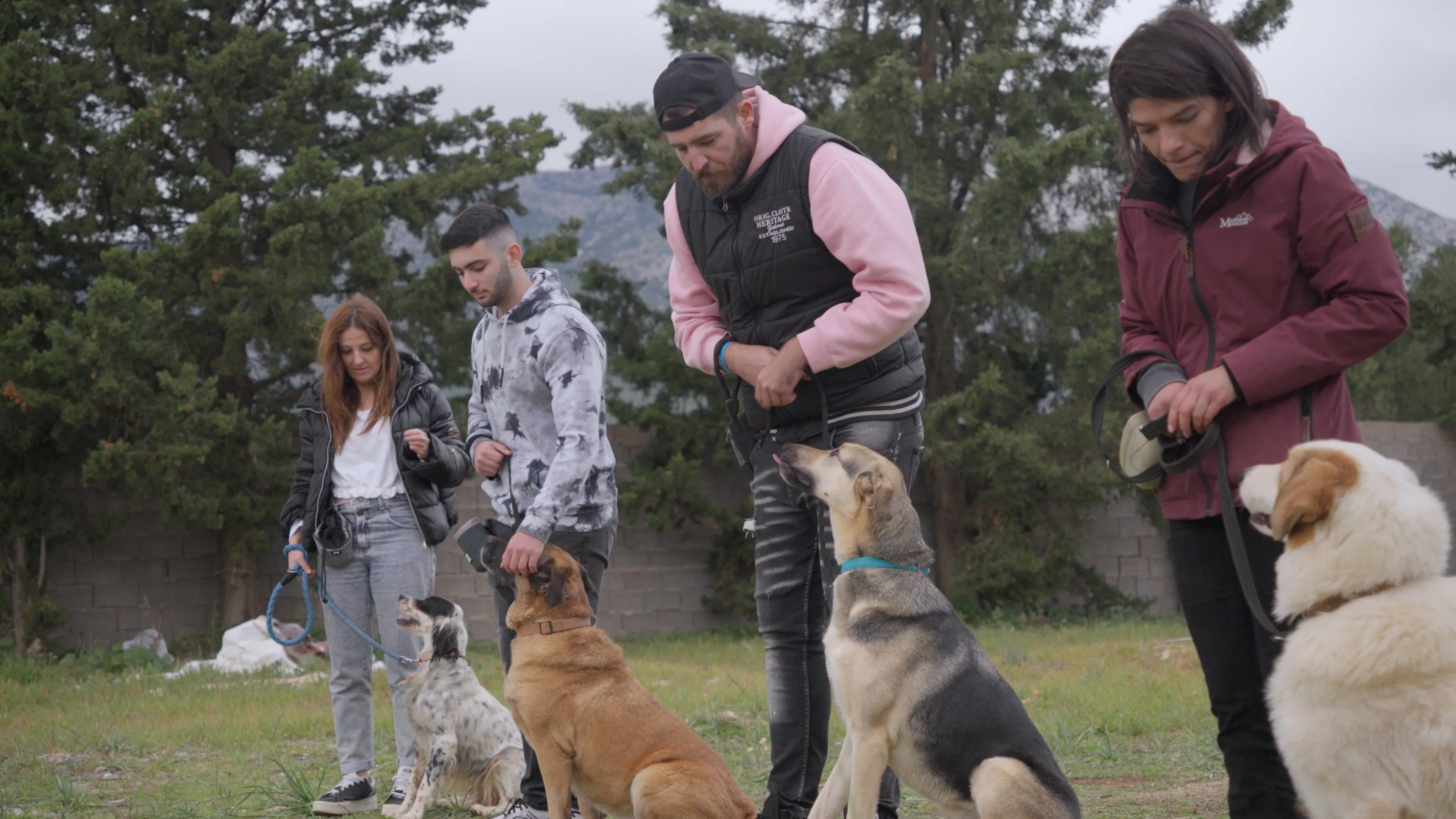 Group εκπαιδευόμενων του εκπαιδευτή σκύλων Πέτρου Μητσάκου εν ώρα εκπαίδευσης