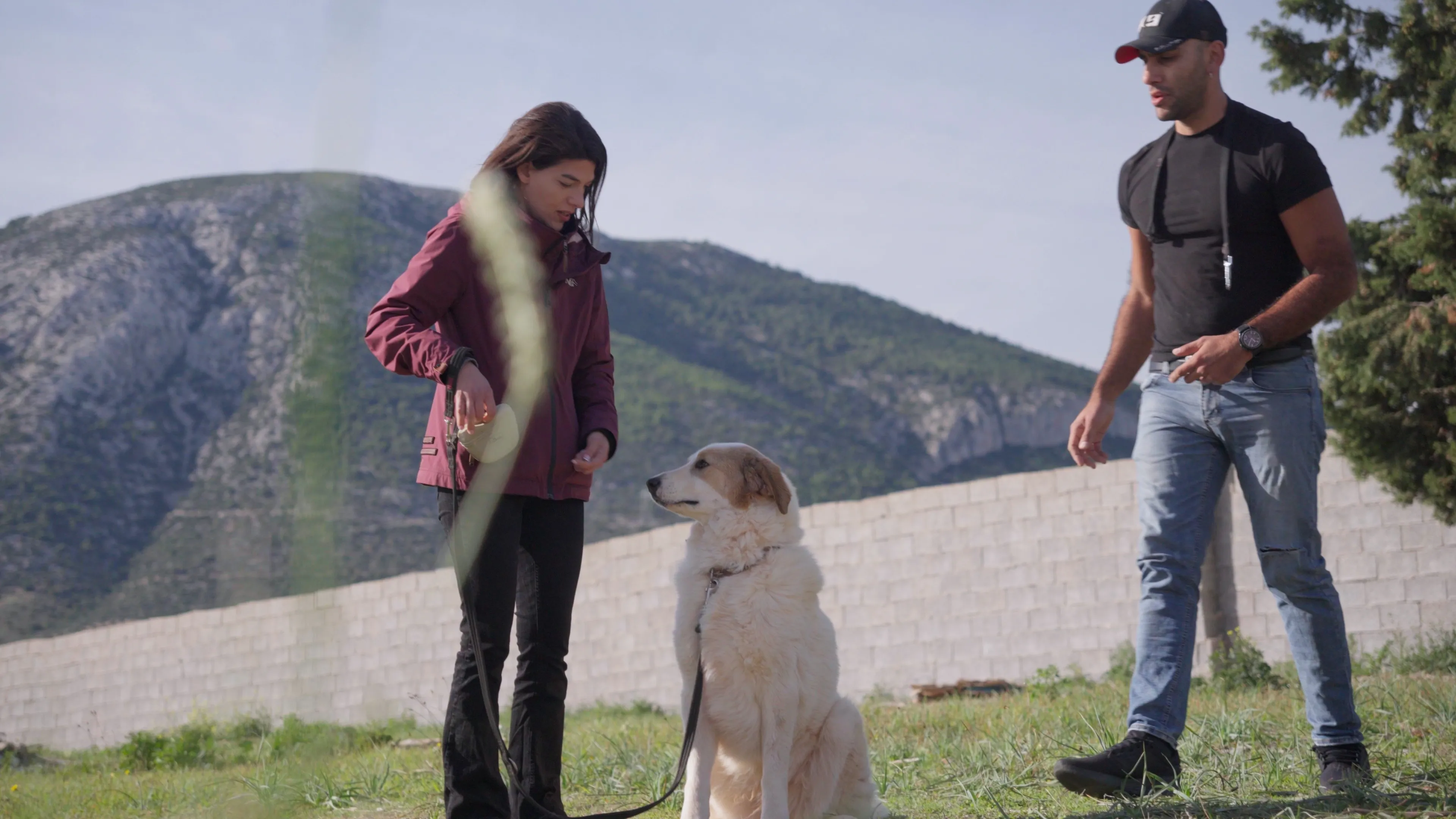 Φωτογραφία σκύλου 16