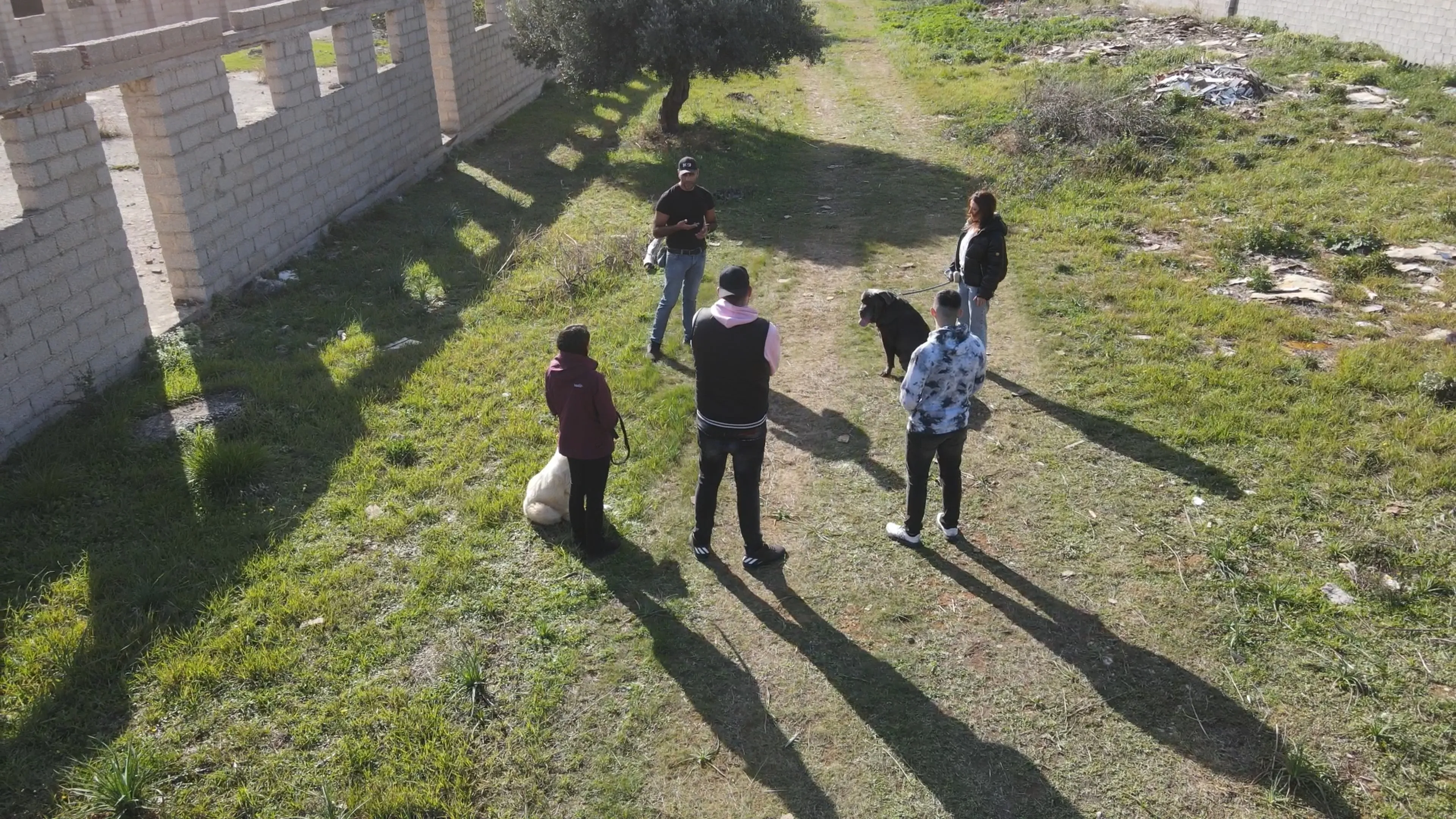 Φωτογραφία του εκπαιδευτή σκύλων Πέτρου Μητσάκου με group εκπαιδευόμενων του